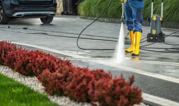 Best Soft Washing for Delicate Surfaces in Dove Valley, CO